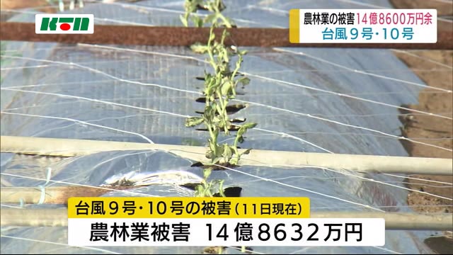 台風9号・10号の長崎県内の農林被害 14億8000万円