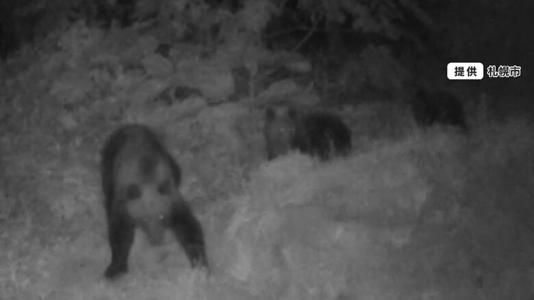 【不安】札幌市中心部でクマ目撃　繁華街「ススキノ」周辺でも…住宅街で“クマの足跡”　公園は全面閉鎖・見回りに猟友会も｜FNNプライムオンライン