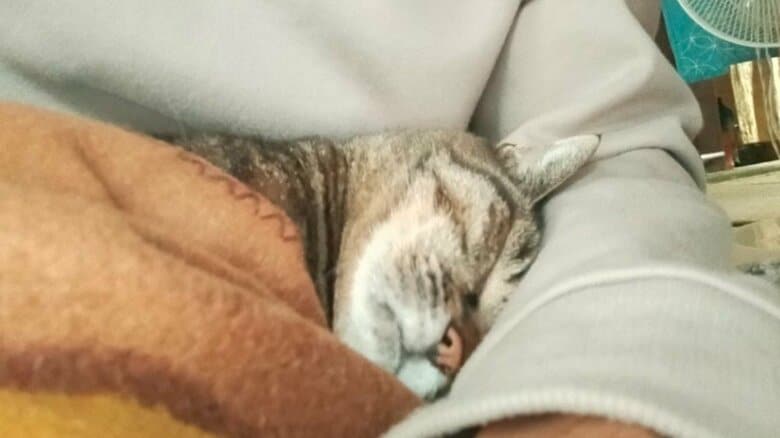 年収200万台でも年100万の貯金！8300万貯めて早期退職した氷河期世代投資家が勝ち取った「豊か」な無職生活｜FNNプライムオンライン