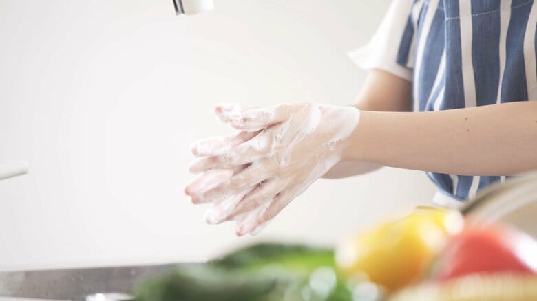 6～8月は「細菌」による食中毒が増加！手洗いは2回推奨。食品衛生のプロが教える洗い方と調理やお弁当の注意点｜FNNプライムオンライン