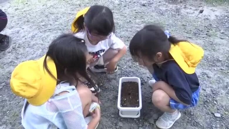 大槌町の児童がヒマワリの種まき　山田町から贈られた復興への願い　岩手県｜FNNプライムオンライン