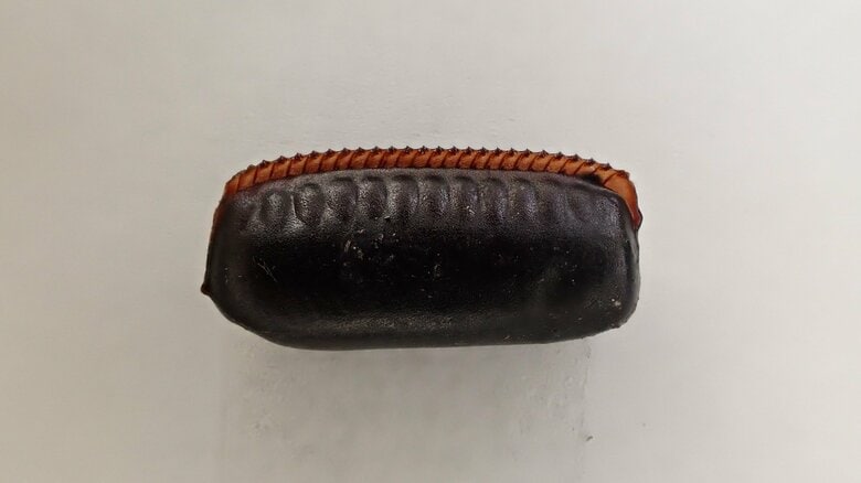 見覚えのない“小豆”を見かけたら「ゴキブリの卵」かも！？気づかず放置→大量発生という地獄絵図を回避するためにチェックすべき場所　｜FNNプライムオンライン