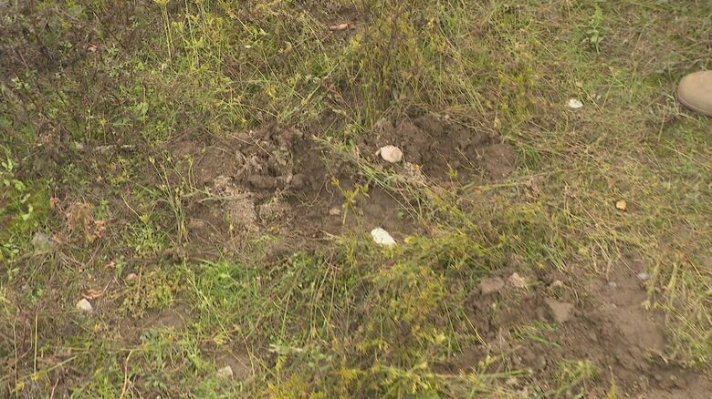 檻の近くにはクマの足跡のようなものも