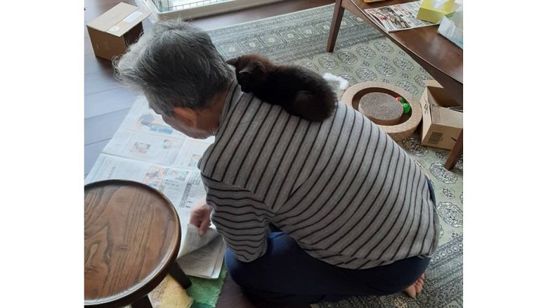 新聞を読む男性の肩に乗る子猫