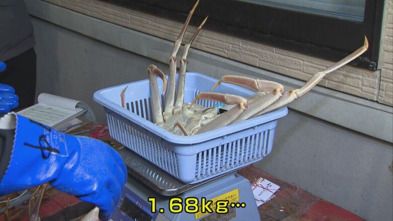 輝候補あらわる