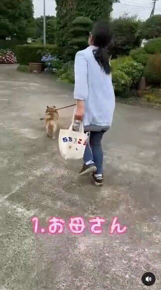 提供：タチバナさんの毎日ルーティン