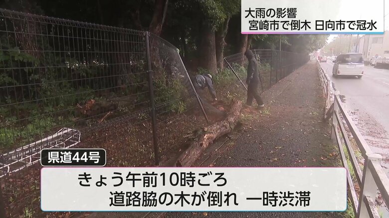 大雨の影響で倒木が発生した県道44号の現場