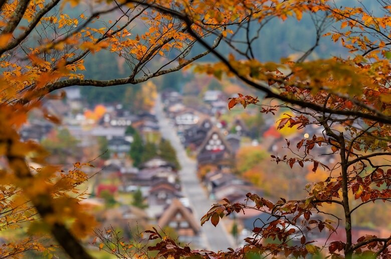 冬の準備をするため、家の周辺にもやってくる（画像はイメージ）
