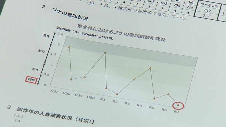 “ブナの実”例年以上に凶作