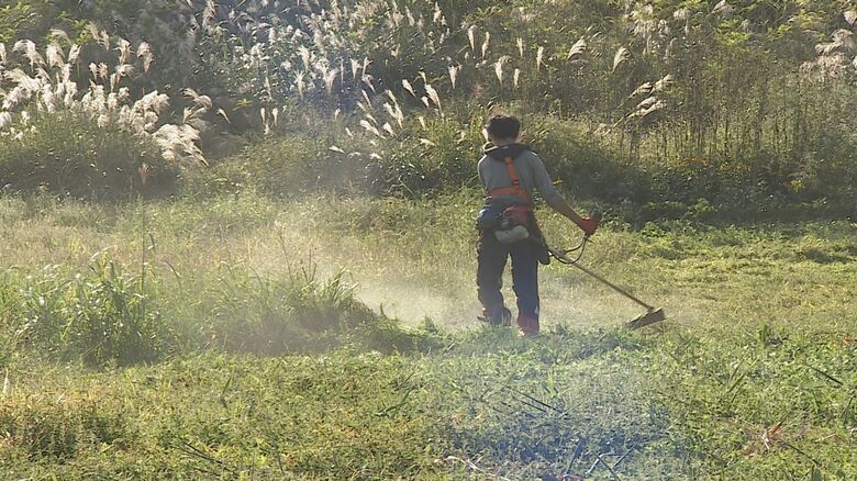 ゲレンデの草刈り