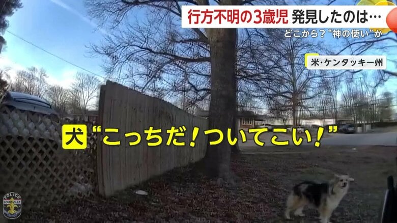 （Louisville Metro Police Department）