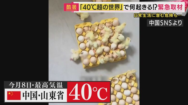 中国・山東省で投稿された映像