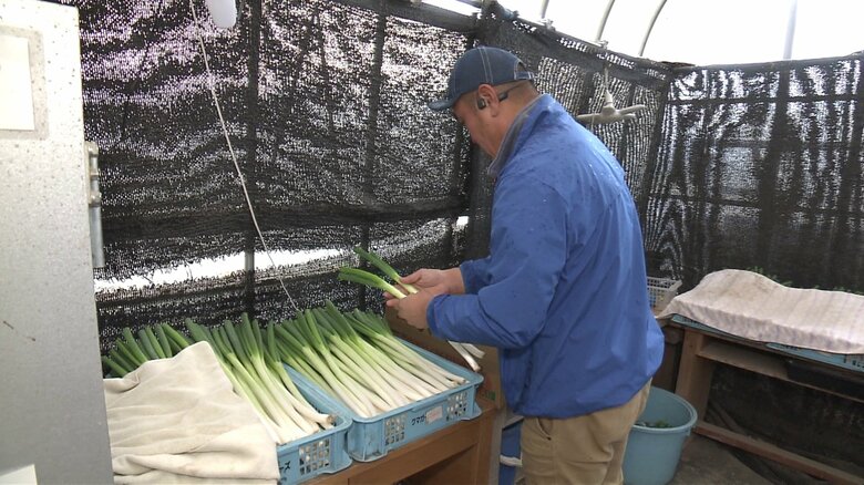 「自分で栽培したネギのブランド化が目標」と話す田畑さん