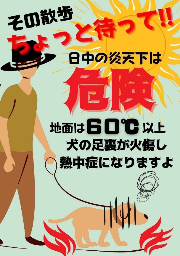 注目されたお散歩隊（@osanpo_center）の投稿