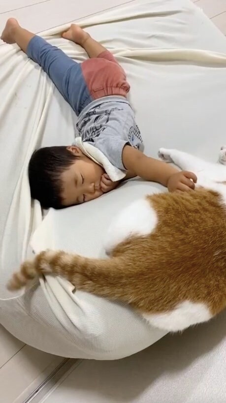 提供：Hassakuさん