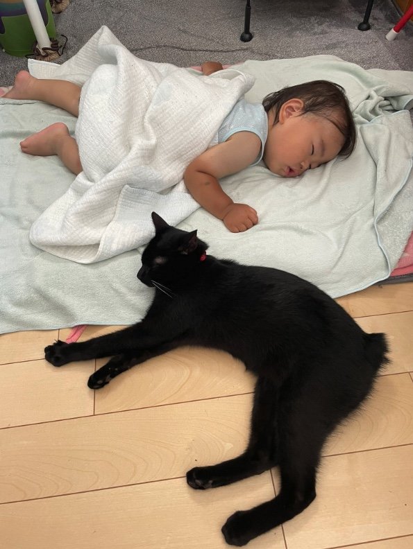 提供：ゴンゾウR4さん