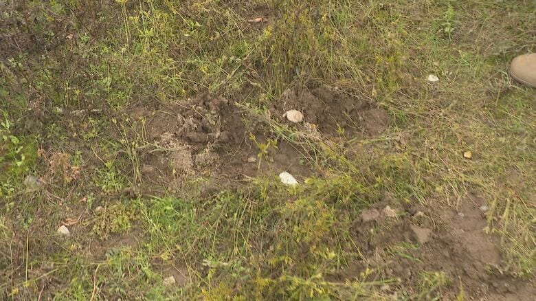 檻の近くにはクマの足跡のようなものも