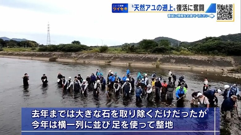 横一列に並び、足を使って川底を整える人々