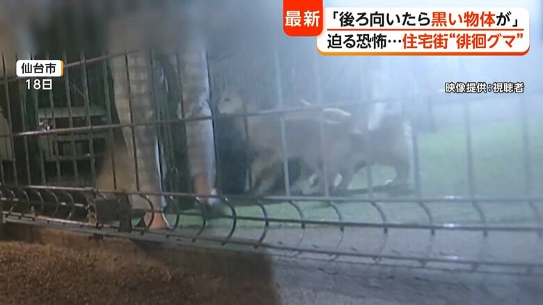 ほえ続ける飼い犬