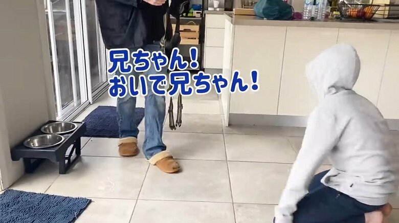 「おいで兄ちゃん」と父がハーネスを持って長男を呼ぶ