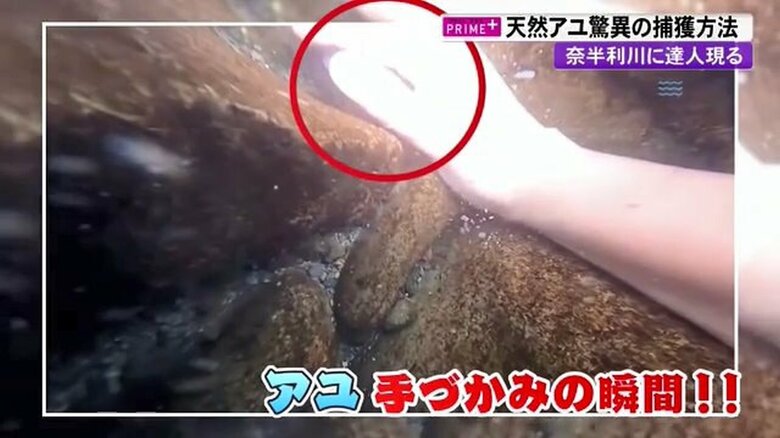 手づかみで捕まえた！