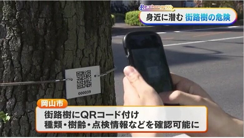街路樹にＱＲコード