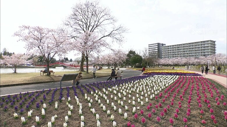 季節の花々が咲く公園