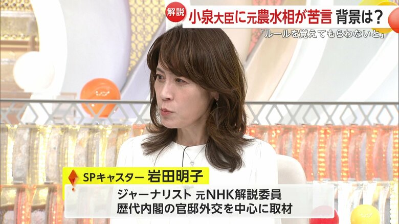 スペシャルキャスター・岩田明子さん