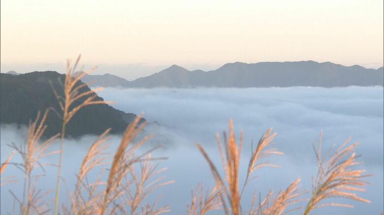 秋の深まりを告げる「雲海」