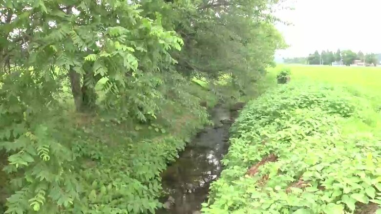 猟友会がクマを駆除した現場付近