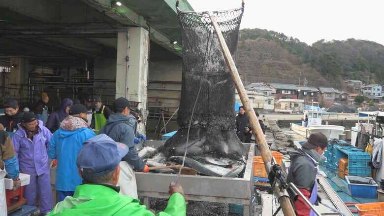 美浜町の日向漁港