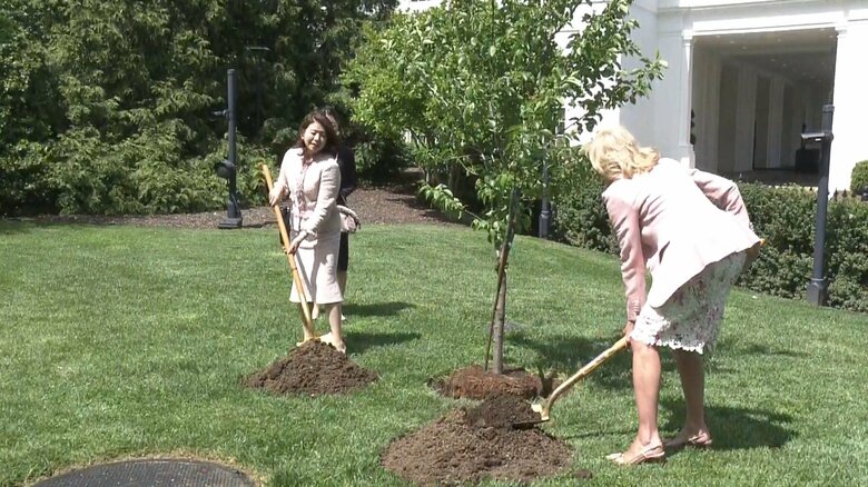 ホワイトハウスの庭に、桜を植樹する裕子夫人とジル夫人