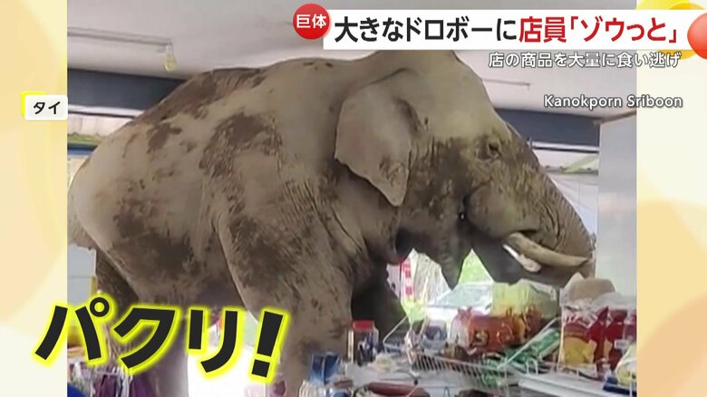 国立公園から現れた1頭のゾウ