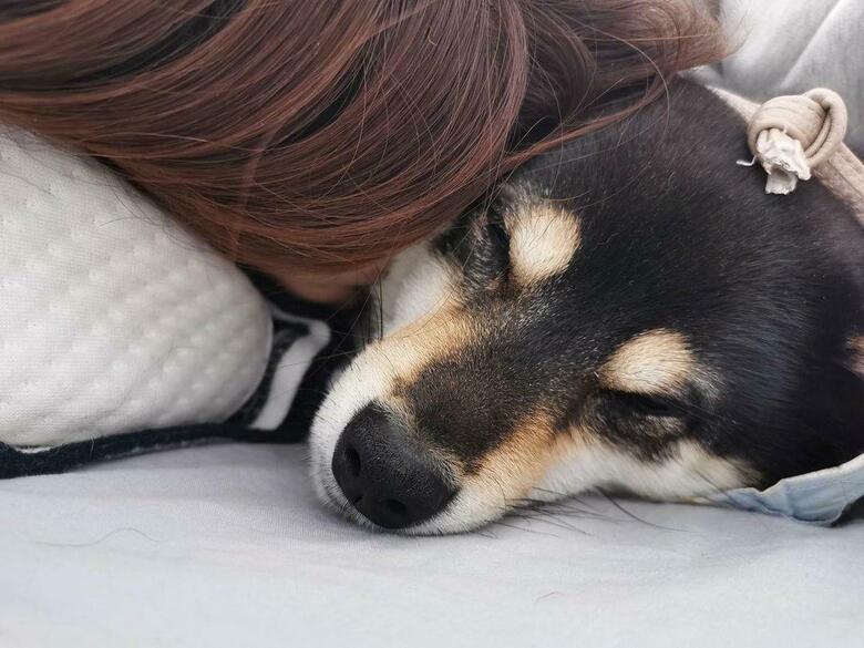 提供：まめふく&ゆめくりさん