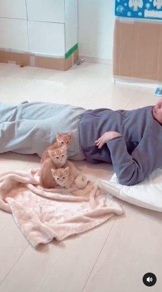 提供：oimo & yuzukiさん