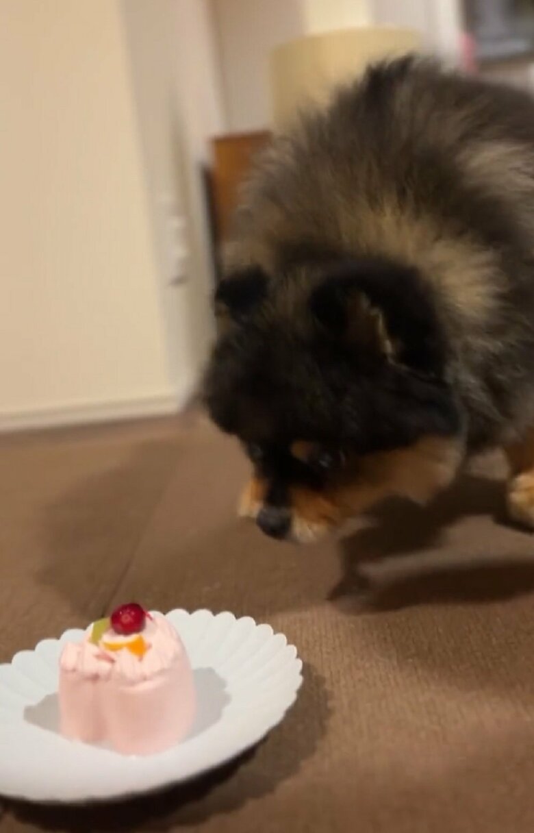 ケーキに目線を向ける