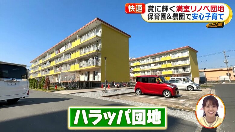埼玉県・草加市の「ハラッパ団地」は築52年。社員寮だった建物をリノベーションした。
