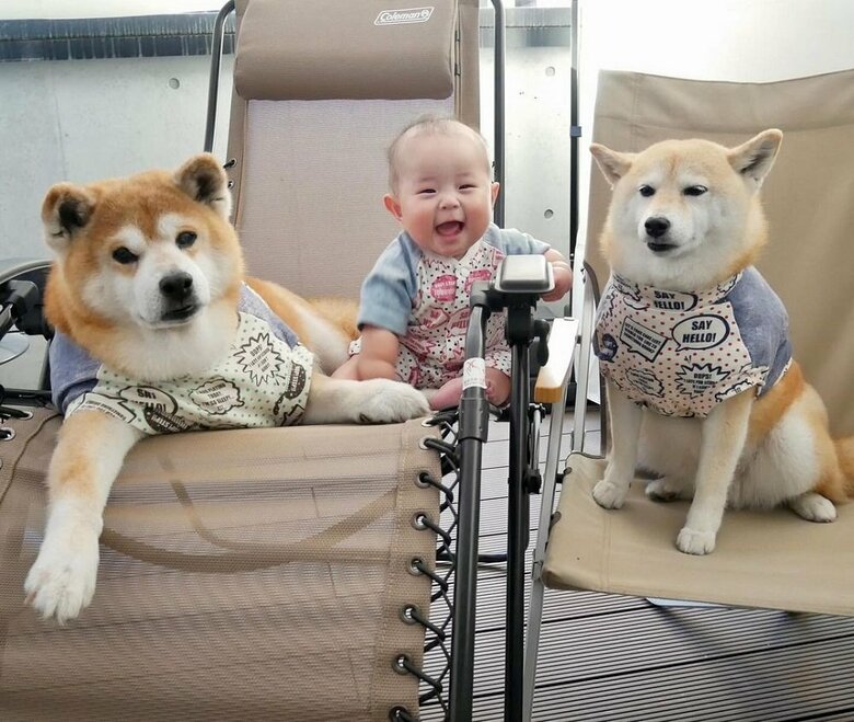 左から、べりやんくん、娘さん、むくみちゃん