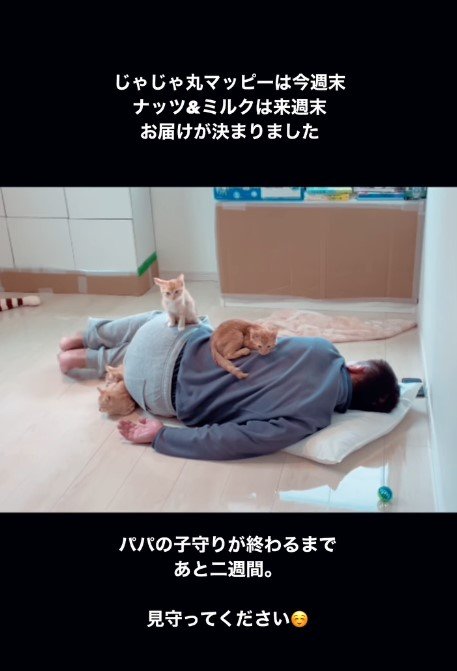 ４匹には新しい飼い主が決定（提供：oimo & yuzukiさん）