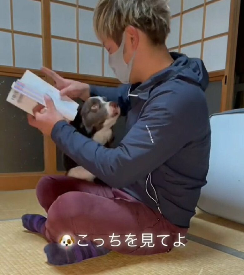 こっち見てと甘えてくる