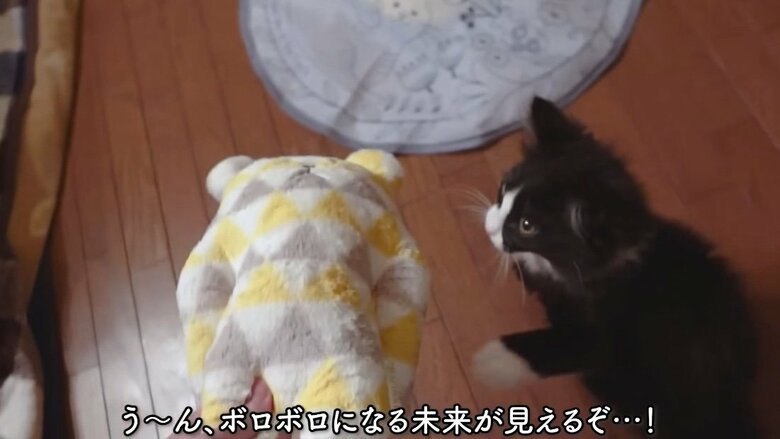 提供：もちぞう ですが。さん