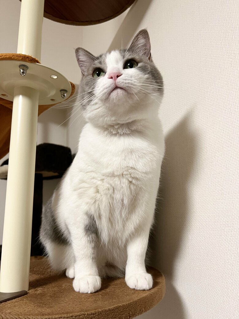 提供：いずもん/まろ様さん