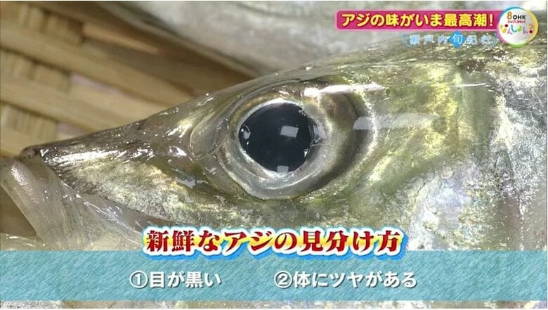新鮮なアジの見分け方