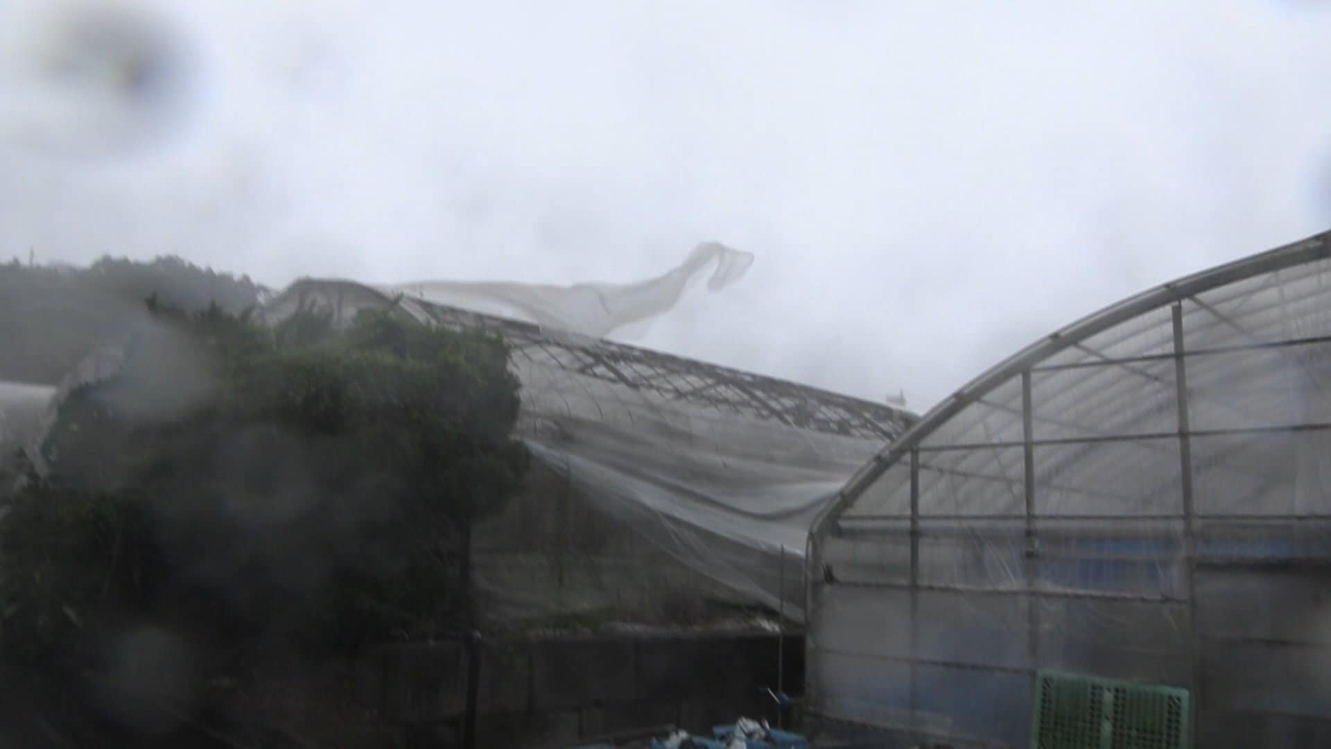 沖縄接近の台風6号　倒木、停電で早くも被害　風にあおられ男性転倒　鹿児島含め約10万人に避難指示