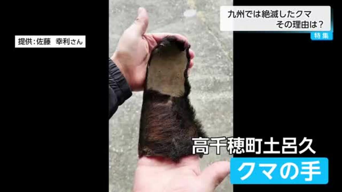 乾燥にがだま　クマ ZERUST®(ゼラスト®)アクアソービット®ZXシリーズ〈高性能乾燥剤〉