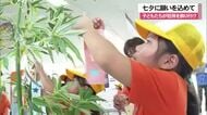 七夕に願いを込めて　子どもたちが短冊を飾り付け
