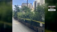 【独自】街路樹ではなく“放置樹木”！？100個以上のプランターが歩道に放置　近隣住民「公共のものだと思ってた」