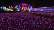 涼しい高原で天の川　“あだたらイルミネーション”が幻想的な景色　ロープウェイからの眺めも　福島