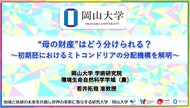 【岡山大学】“母の財産”はどう分けられる？～初期胚におけるミトコンドリアの分配機構を解明～