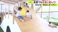 木材使用の大型遊具ある“全天候型施設”…「カラダうごかす森 Harappa」19日愛知県大府市にオープン 0歳児除き有料